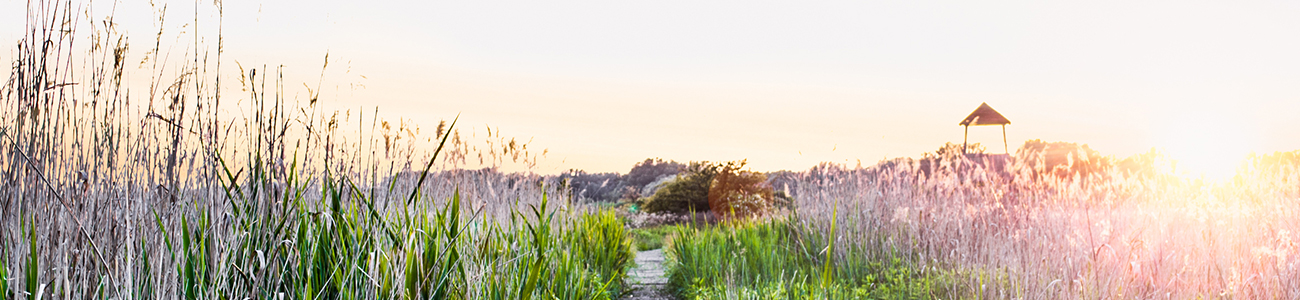 New York Divorce Mediation, LLC Banner