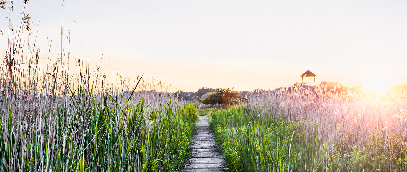 New York Divorce Mediation, LLC Banner
